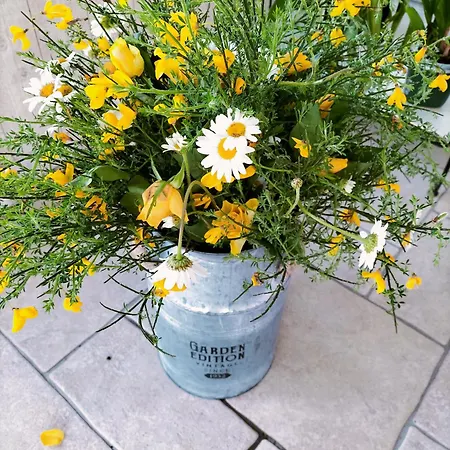 Chez Didier Et Gene 3*