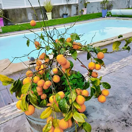 Chez Didier Et Gene ארס