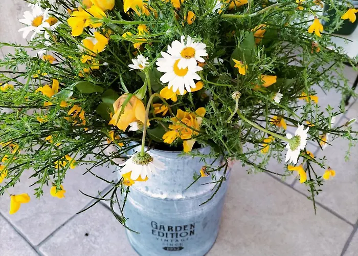 Chez Didier Et Gene 3*