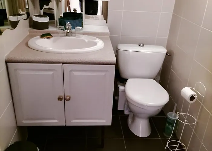 Chez Didier Et Gene 3* Ares