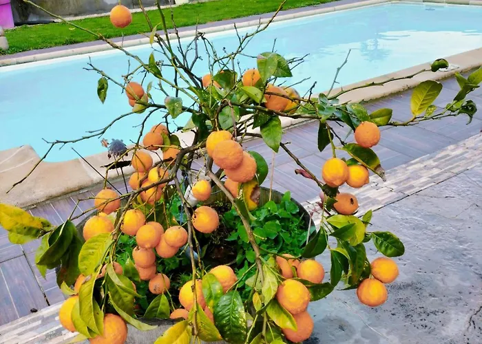 Chez Didier Et Gene Ares